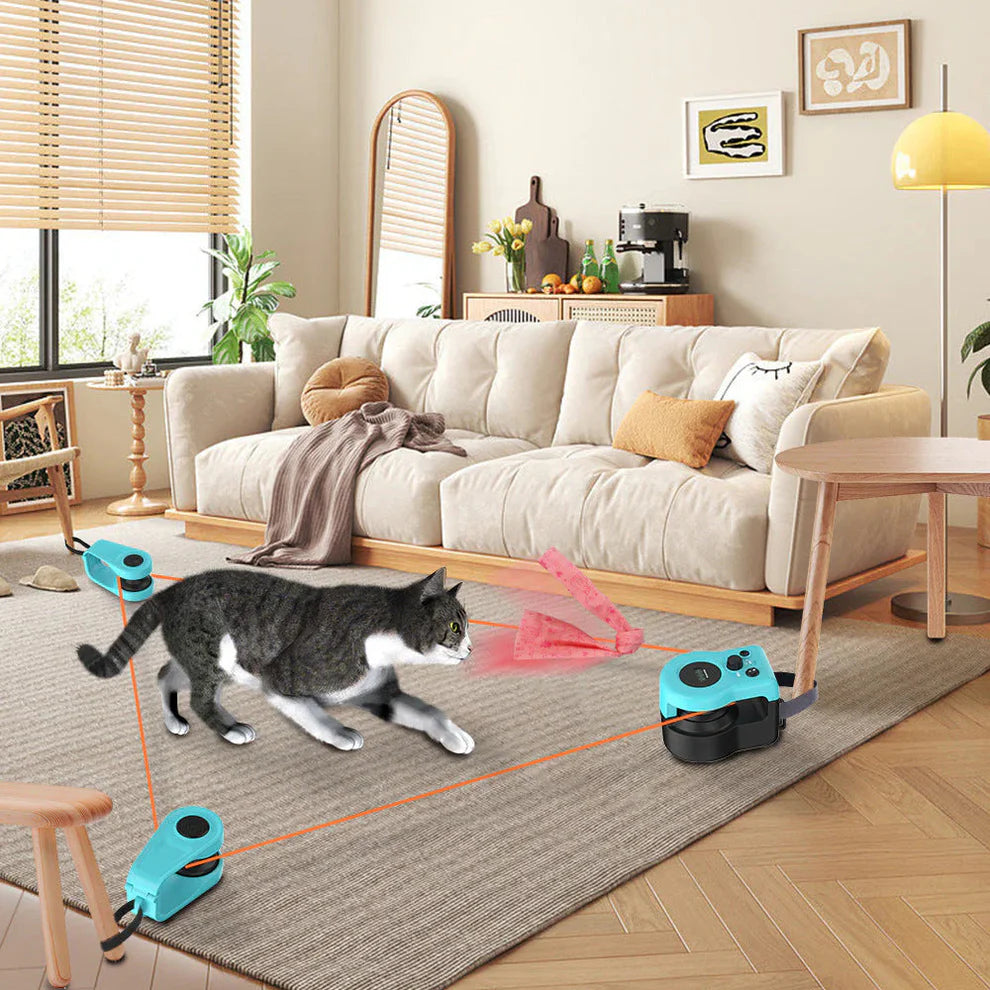 RC cat hunting home simulator