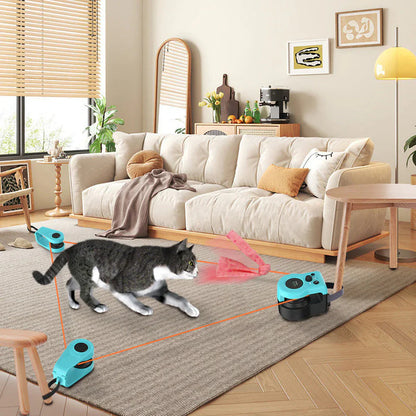 RC cat hunting home simulator