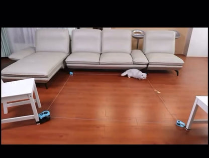 RC cat hunting home simulator